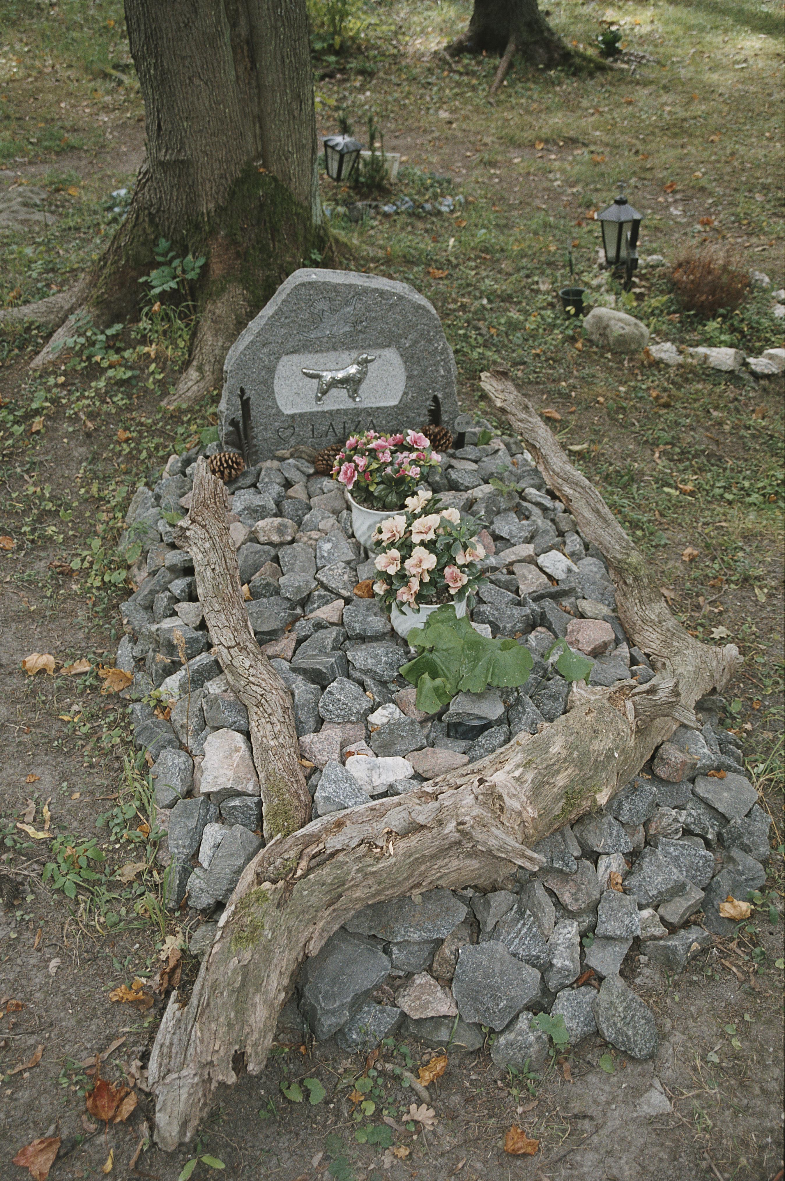Bengt A Lundberg, Djurkyrkogården vid Kaknäs