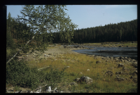 Fjällsjöälven, Storflyforsen