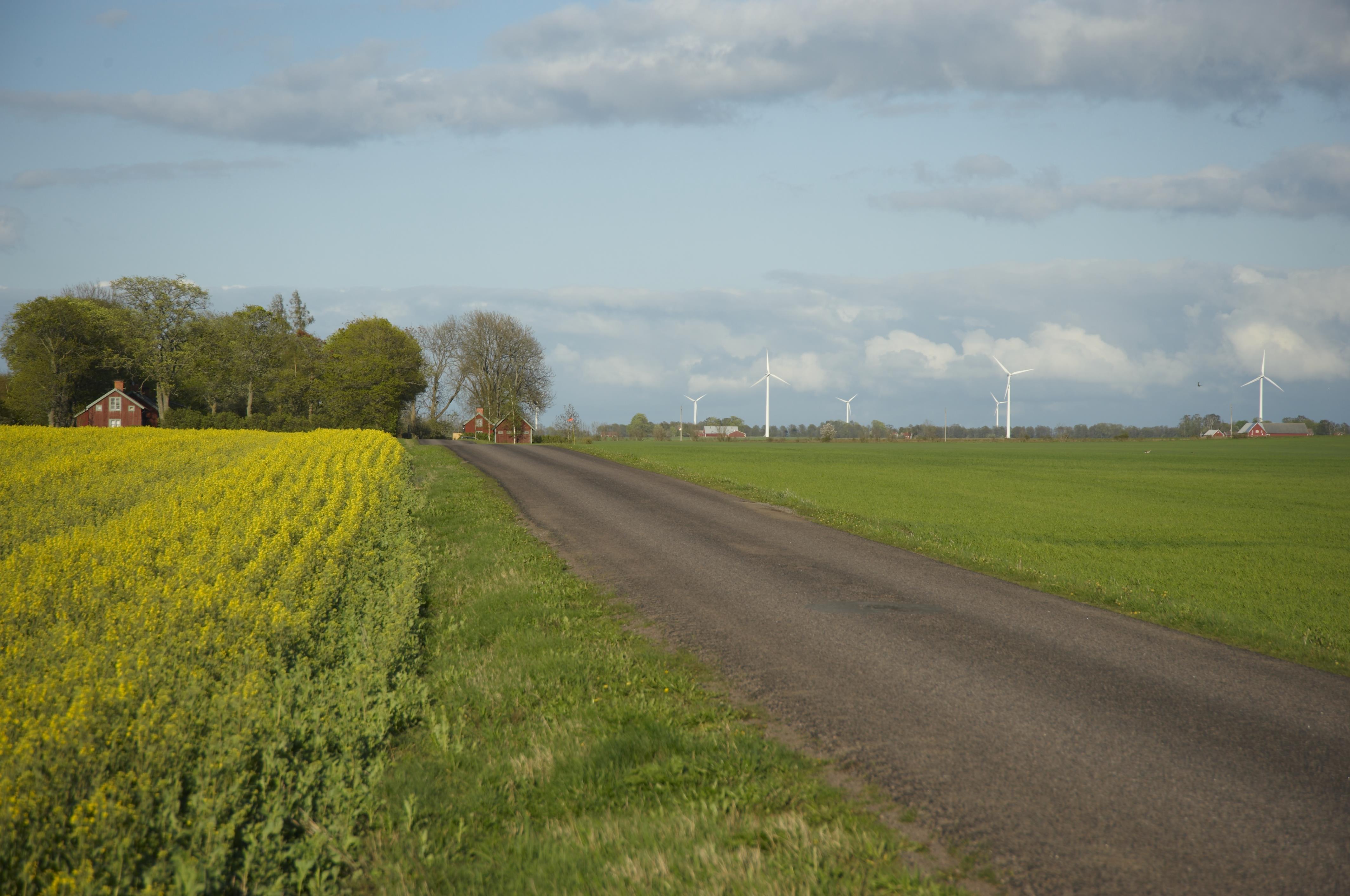 Bengt A Lundberg, Rök