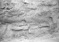 Image of Ög Carlsson2012;19