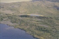 Kiepanjaure - Darfaljaure