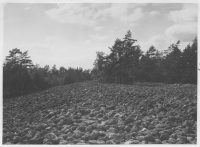 Rullstenanhopningen mellan Jenny och Västervik