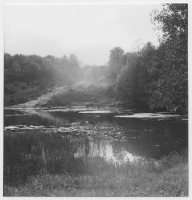 Fårdalen