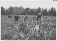 Råshult Södregård