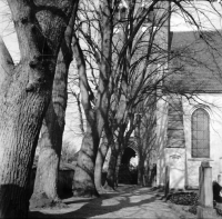 Åhus, Sankta Maria kyrka (Åhus kyrka)