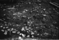 Alvastra pålbyggnad