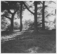 Eskilstuna, Djurgården