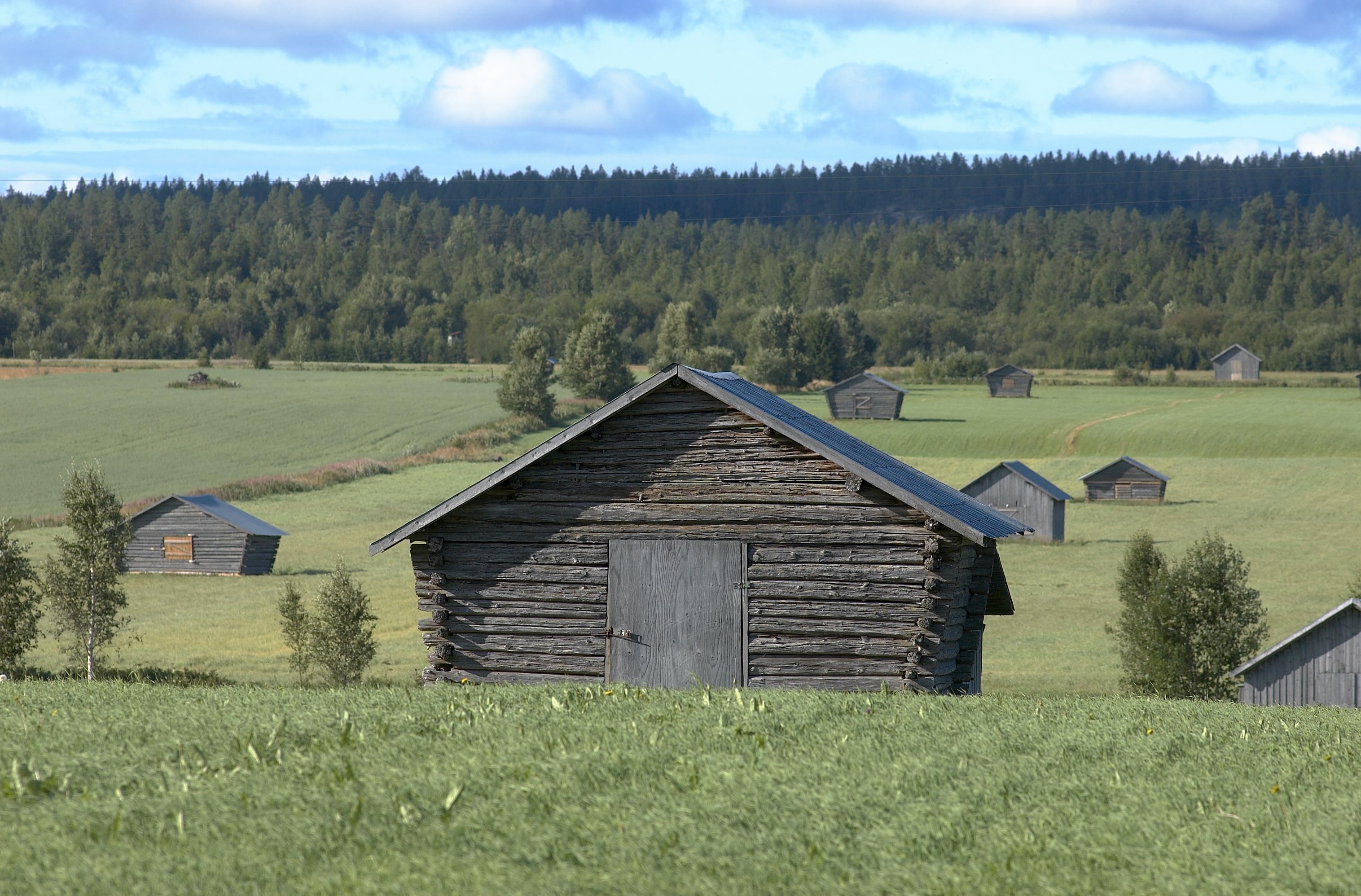 Bengt A Lundberg, Avan