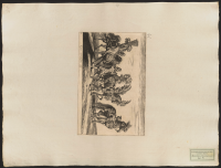 10. Deras övriga hästar för allmänt bruk.