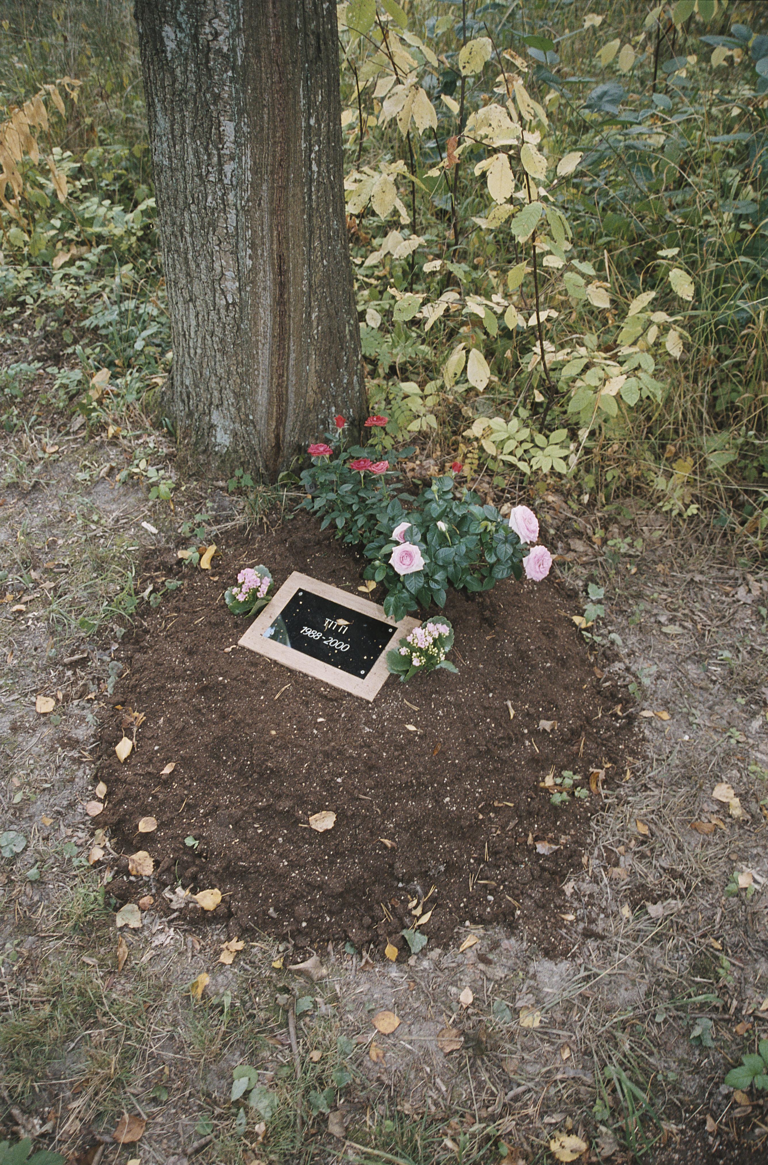 Bengt A Lundberg, Djurkyrkogården vid Kaknäs