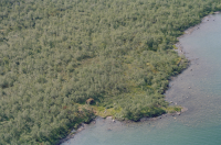 Rautasjaure - Várregaska