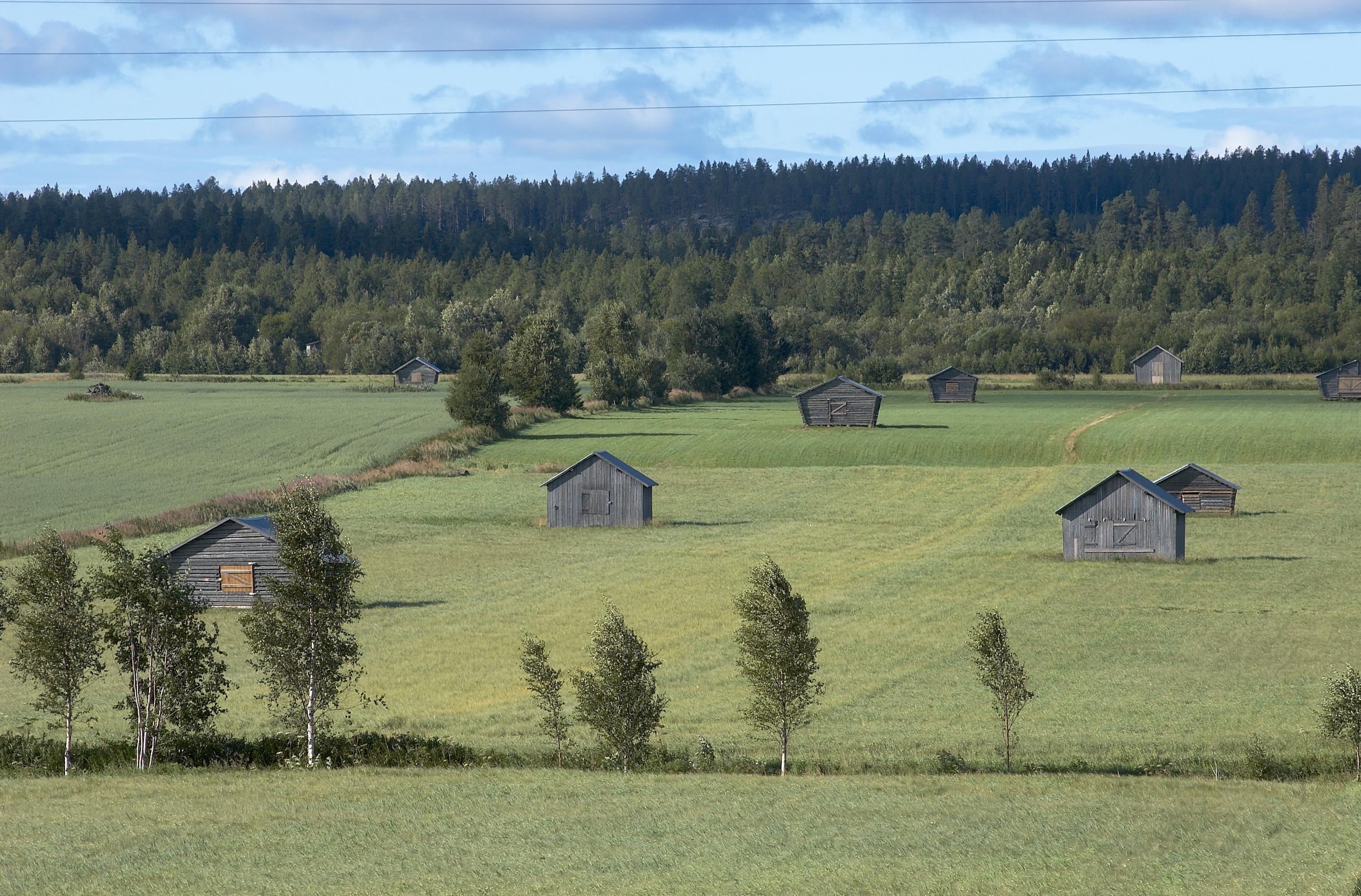 Bengt A Lundberg, Avan