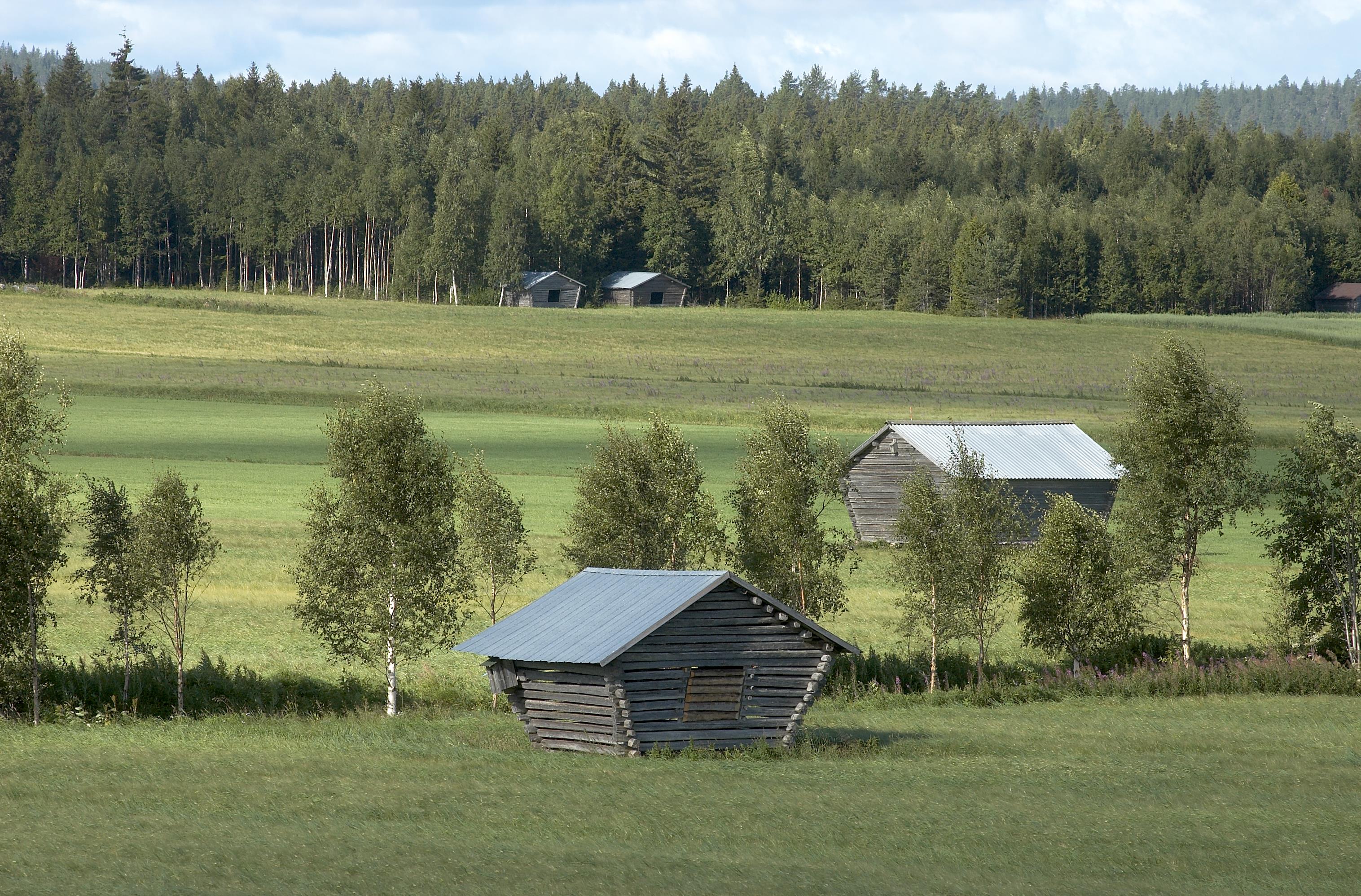 Bengt A Lundberg, Avan