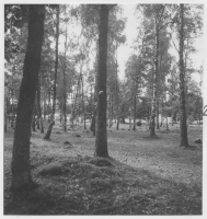 Toftaholm, björkhage med fasta fornlämningar