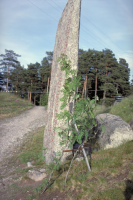 Image of Sö 106