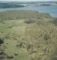 Björkö-Birka