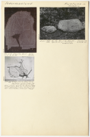 Membro. Runsignum Sö 152