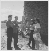 Visby ringmur och Dalmanstornet