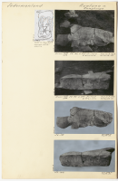 Kungberga. Runsignum Sö 149