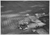 Tydje kyrkogård, grav smyckad med ängsblommor