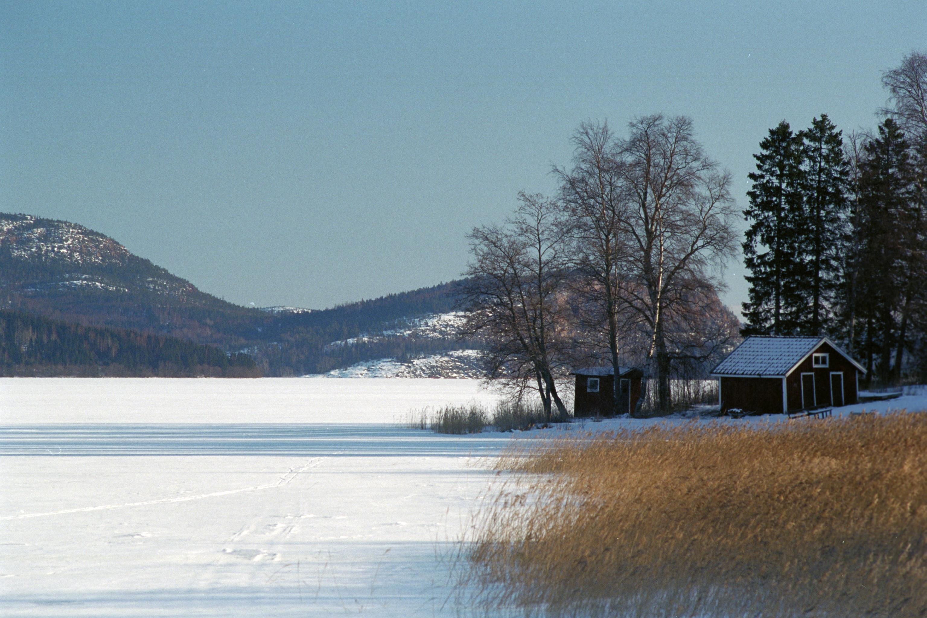 Bengt A Lundberg, Rödviken