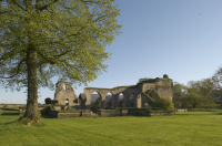 Image of Ög HedvallMenander473