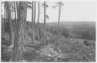 Landskap vid Finnerödja station