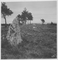 Grogarnsberget