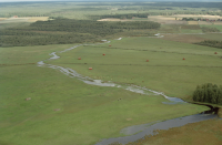 Västerfärnebo 314:1-2
