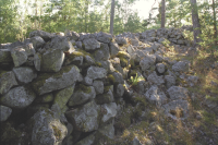 Fornborgen Stora Skansen