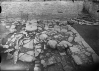 Varnhems klosterruin