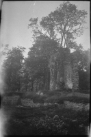 Edsberg, Riseberga klosterruin