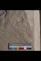 Image of Or Barnes10