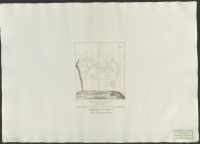 Runsten på Tuna kyrkogård