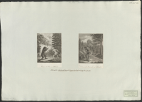 Chasse de l'Ours en Finlande.[Bild]