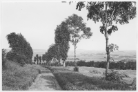 Saleby, väg uppför Ållebergs östra sluttning