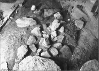 Skara domkyrka (Sankta Maria kyrka)