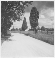 Vägen Ryd-Fridafors