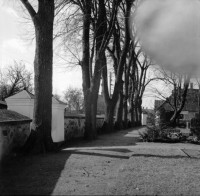 Image of DR EM85;438C