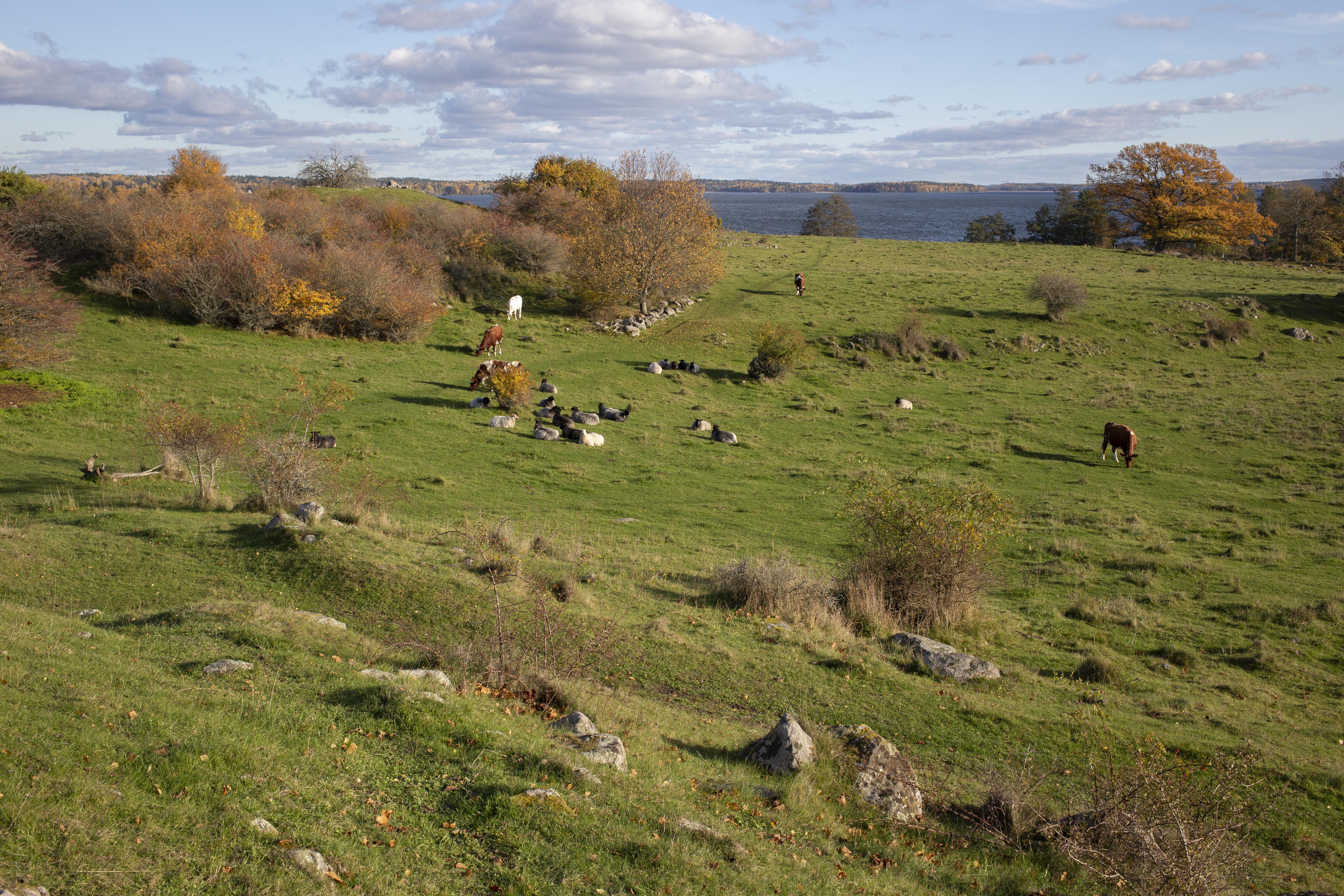 Leif Gren, Alsnö hus