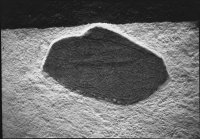 Image of U 272