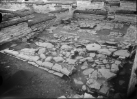 Varnhems klosterruin