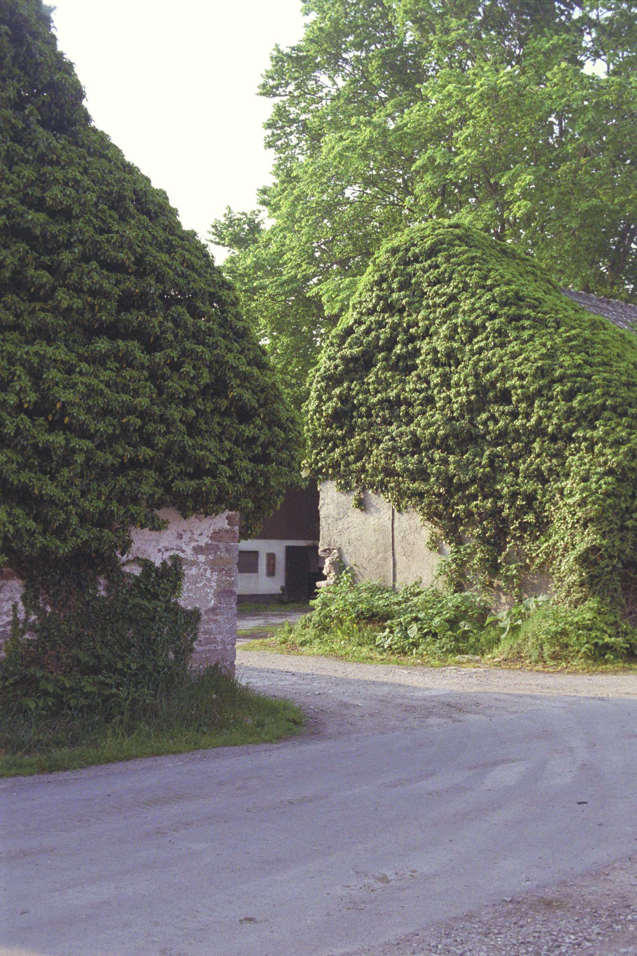 Bengt A Lundberg, Enetri