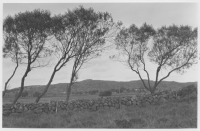 Lindbergs socken, åkrar