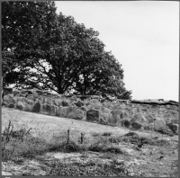 Åker, Ärja kyrkoruin