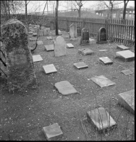 Stockholm, Johanneshovs kolerakyrkogård