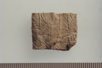 Image of Vg NOR2002;34