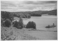 Bräcketjärn