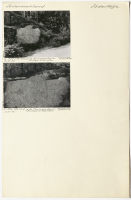 Gamla Turingevägen. Runsignum Sö 311-313