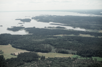 Ånimskog 194:1